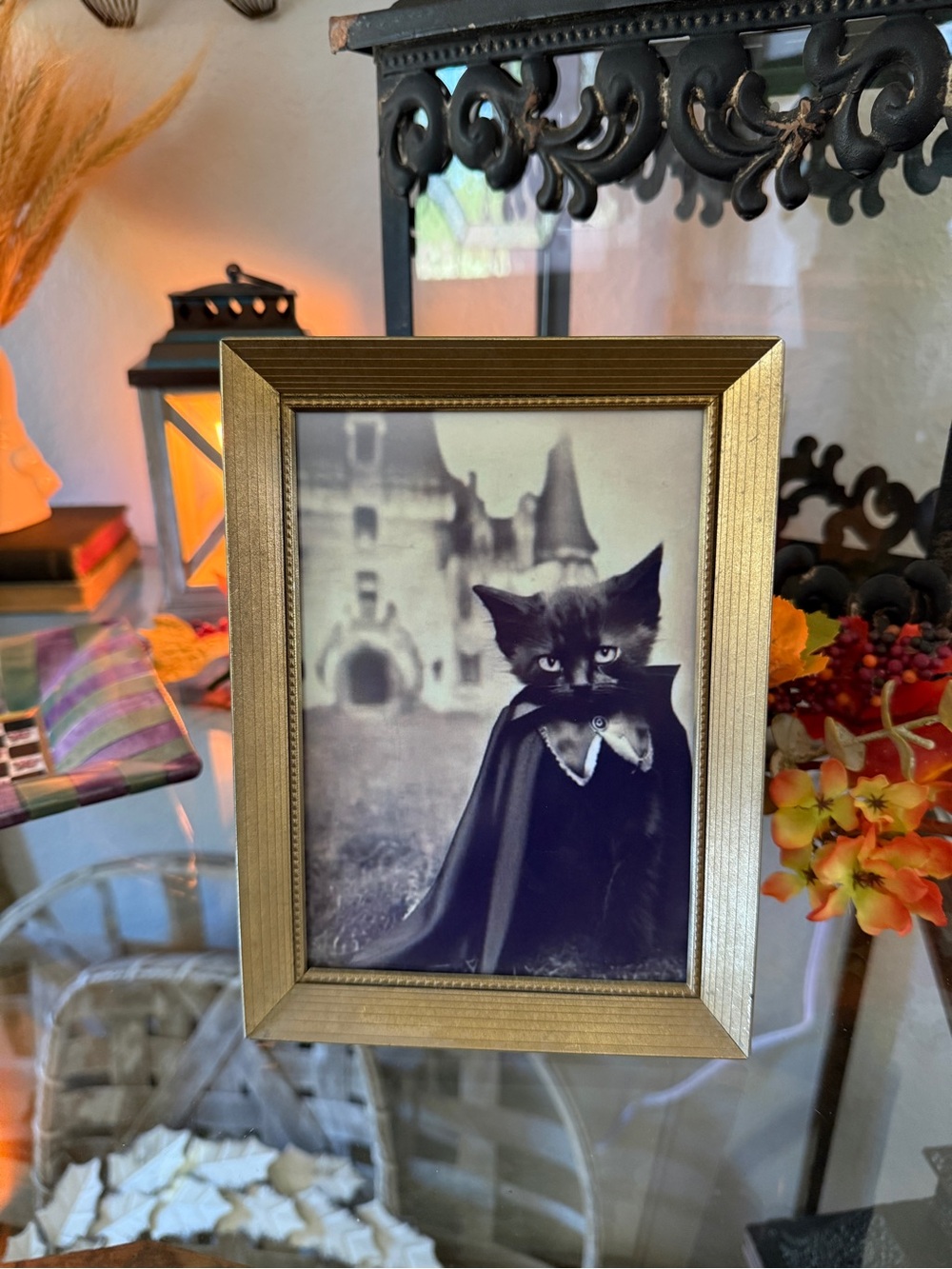 Vintage Hollywood Regency Gold Picture Frame with Black & White Cat Print